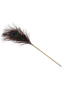 Peacock Tickler Rose Gold Peacock Tickler Rose Gold