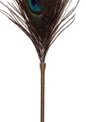 Peacock Tickler Rose Gold Peacock Tickler Rose Gold