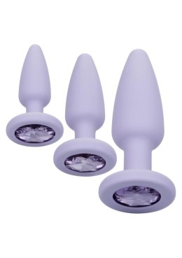 Crystal Booty Kit Purple SCALA