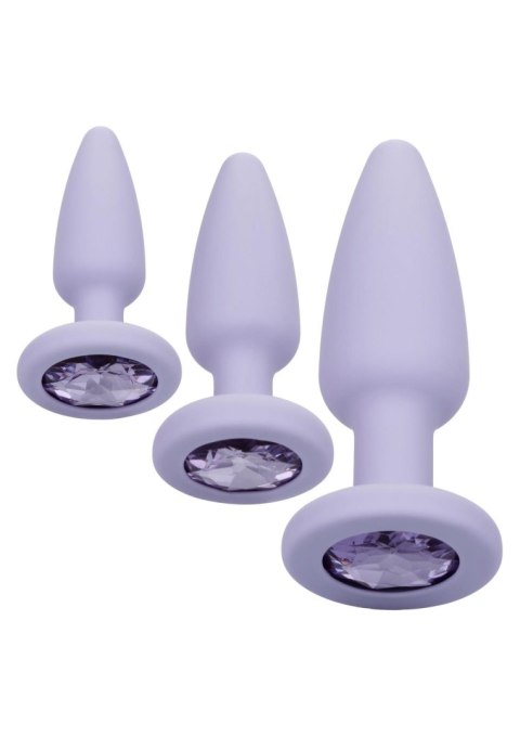 Crystal Booty Kit Purple SCALA Crystal Booty Kit Purple SCALA