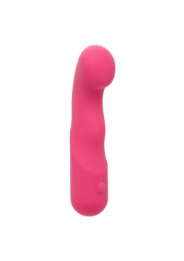 Pixies Curvy Pink SCALA