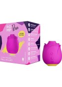 ROMP Rose - PINK SCALA ROMP Rose - PINK SCALA