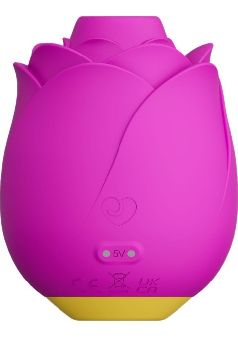 ROMP Rose - PINK SCALA ROMP Rose - PINK SCALA