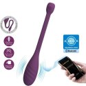 LEVIATHAN APP CONTROLLED VIBRATOR PURPLE Baile - Boys of Toys Sp. z. o.o. (dystrybutor) LEVIATHAN APP CONTROLLED VIBRATOR PURPLE Baile - Boys of Toys Sp. z. o.o. (dystrybutor)