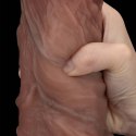 10.5'' Dual Layered Silicone Cock XXL LoveToy - Boys of Toys Sp. z o.o. (dystrybutor) 10.5'' Dual Layered Silicone Cock XXL LoveToy - Boys of Toys Sp. z o.o. (dystrybutor)