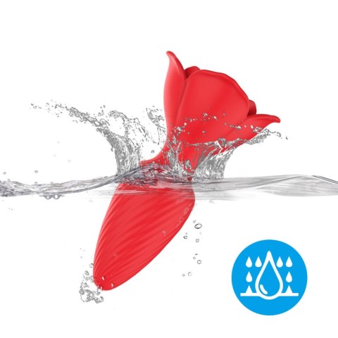 Honey Jelly Boys of Toys Sp. z o.o.