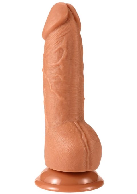 Realistic Dildo PVC 18 cm SCALA Realistic Dildo PVC 18 cm SCALA