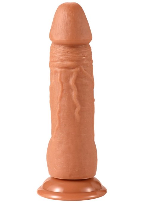 Realistic Dildo PVC 18 cm SCALA Realistic Dildo PVC 18 cm SCALA