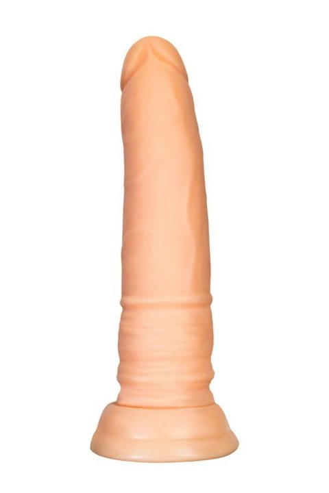 A-TOYS, Realistic Dildo, TPE, Flesh, 18 cm TOYFA - Boys of Toys Sp. z o.o. (dystrybutor) A-TOYS, Realistic Dildo, TPE, Flesh, 18 cm TOYFA - Boys of Toys Sp. z o.o. (dystrybutor)