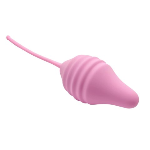 Pelvix Silicone String (Lote) CNEX A.I.E.,S.L. Pelvix Silicone String (Lote) CNEX A.I.E.,S.L.