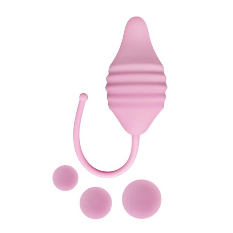 Pelvix Silicone String (Lote) CNEX A.I.E.,S.L. Pelvix Silicone String (Lote) CNEX A.I.E.,S.L.
