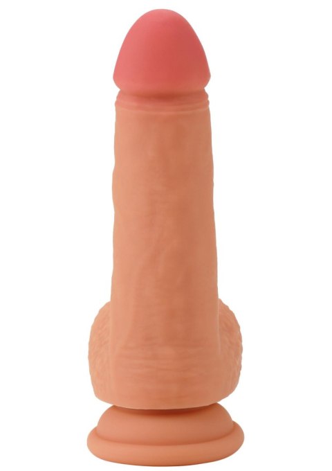 Realistic Dildo Liquid Silicone 20 cm SCALA Realistic Dildo Liquid Silicone 20 cm SCALA