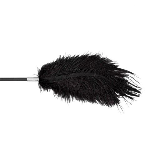 Fetish B-Series Tickler & Whip 1.0 Boys of Toys Sp. z o.o.