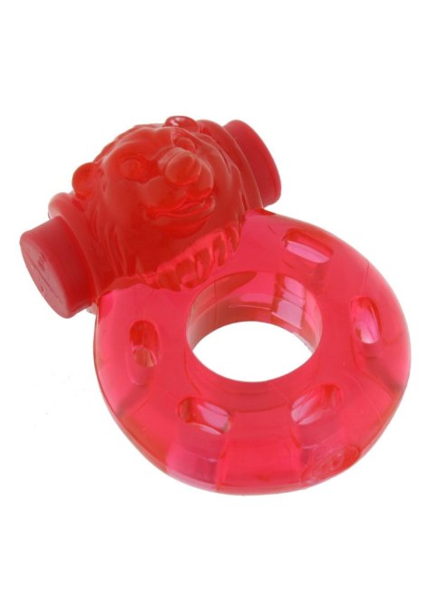 Romance Gift Set Red SCALA