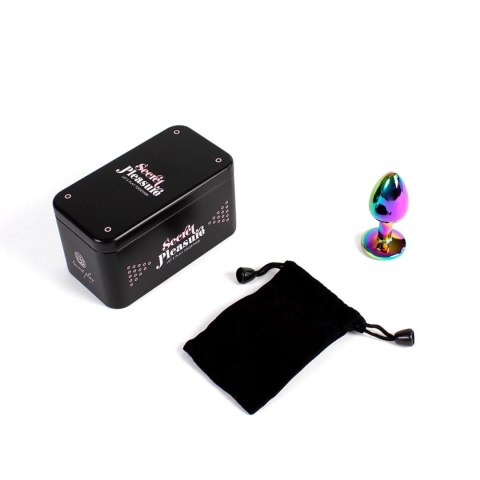 RAINBOW METAL BUTT PLUG