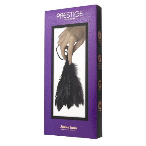Piórko-Prestige Adrien Lastic