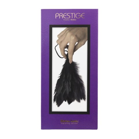 Piórko-Prestige Adrien Lastic