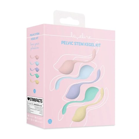 Pelvic Stem Kegel Kit - Multicolor