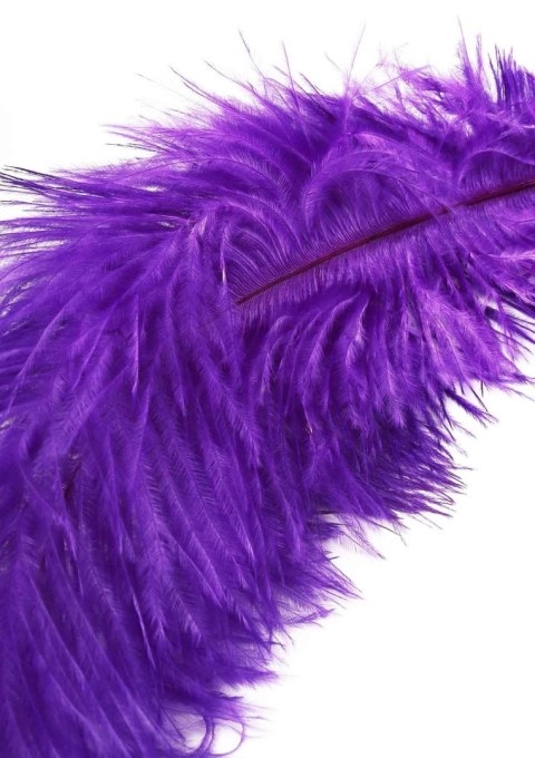 Double Feather Tickler Purple