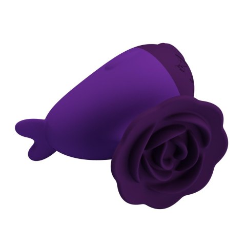 Pretty Love Dolphin - Purple