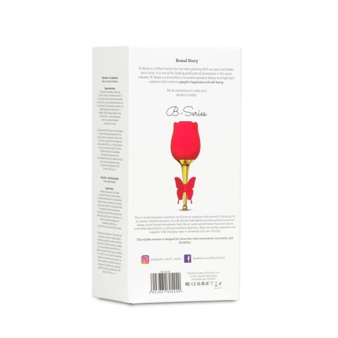ROSE Flirting Partner USB 10 functions B - Series Lyla