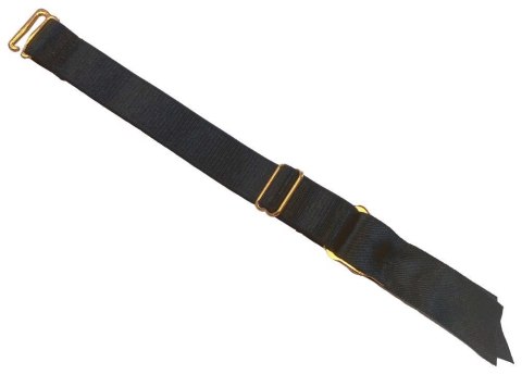 Your Strap-On Briefs & Dildo