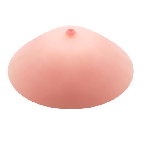 BAILE - the True Breast