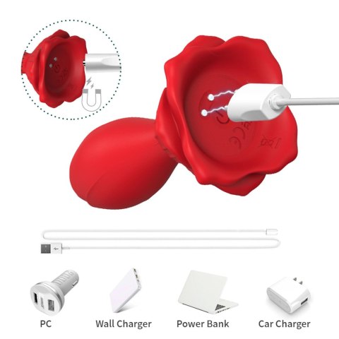 Rosenberg Red 9 vibration functions Remote control