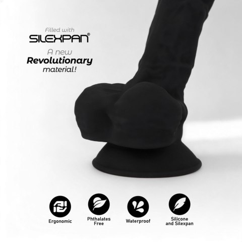 Model 1 (8'') Black BOX Silexd