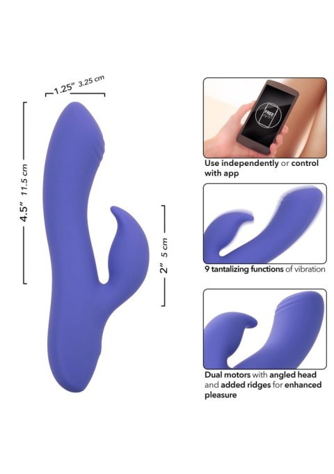 Calex Connect Dual Stimulator Purple