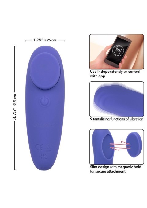 Calex Connect Panty Teaser Purple
