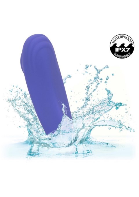 Calex Connect Panty Teaser Purple