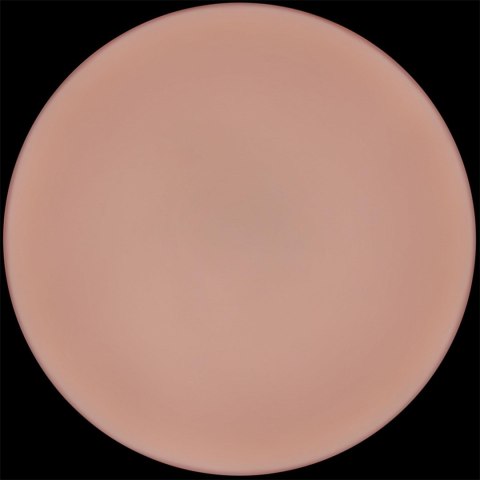 9'' Sliding Skin Pro II Dual Layer Silicone Dong