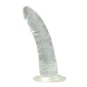 Dildo-FALLO JELLY REAL RAPTURE CLEAR 7"""""""""""""""""""""""""""""""" Real Rapture Dildo-FALLO JELLY REAL RAPTURE CLEAR 7"""""""""""""""""""""""""""""""" Real Rapture