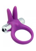 Pierścień-Timeless stretchy ring purple Toyz4lovers Pierścień-Timeless stretchy ring purple Toyz4lovers