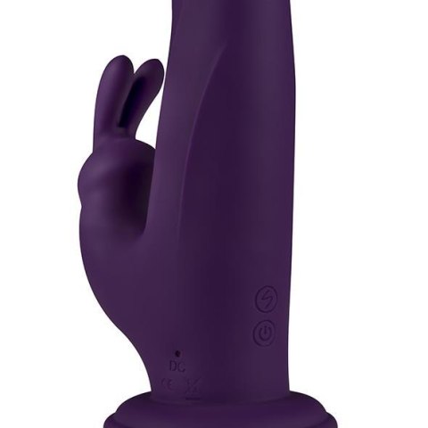 FeelzToys - Whirl-Pulse Rotating Rabbit Vibrator & Remote Control Purple FeelzToys FeelzToys - Whirl-Pulse Rotating Rabbit Vibrator & Remote Control Purple FeelzToys