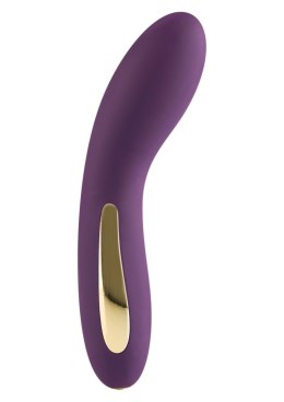 Luminate Vibrator Purple TOYJOY