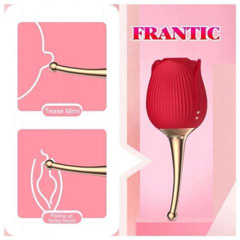 ROSE Flirting Partner USB 10 functions B - Series Lyla ROSE Flirting Partner USB 10 functions B - Series Lyla