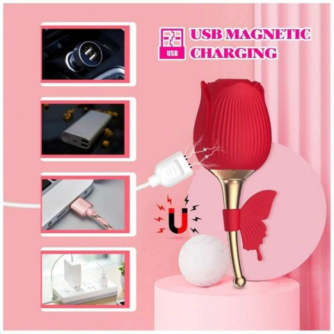 ROSE Flirting Partner USB 10 functions B - Series Lyla ROSE Flirting Partner USB 10 functions B - Series Lyla