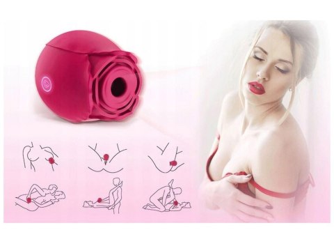ROSE Flirting Partner USB 10 functions B - Series Lyla ROSE Flirting Partner USB 10 functions B - Series Lyla