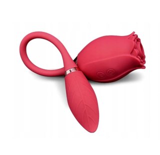 ROSE Miss Coyness USB 10 function B - Series Lyla