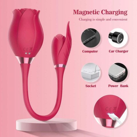 ROSE Miss Coyness USB 10 function B - Series Lyla ROSE Miss Coyness USB 10 function B - Series Lyla