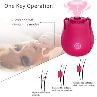 Stymulator-ROSE Massager USB 10 function B - Series Lyla
