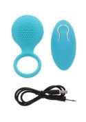 Tickle Brush C-Ring Blue TOYJOY Tickle Brush C-Ring Blue TOYJOY