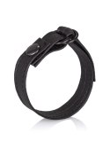 Leather Cinch Black CalExotics Leather Cinch Black CalExotics