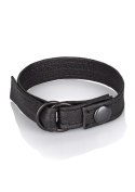 Leather Cinch Black CalExotics Leather Cinch Black CalExotics