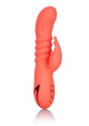 Orange County Cutie Orange CalExotics Orange County Cutie Orange CalExotics