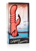 Orange County Cutie Orange CalExotics Orange County Cutie Orange CalExotics
