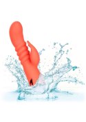 Orange County Cutie Orange CalExotics Orange County Cutie Orange CalExotics