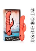 Orange County Cutie Orange CalExotics Orange County Cutie Orange CalExotics